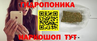 spice Заводоуковск