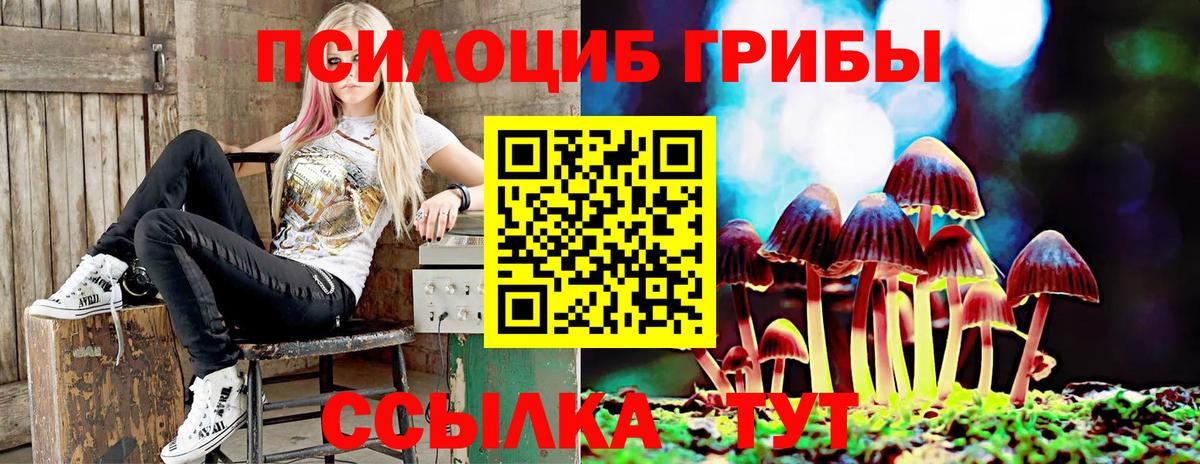 Псилоцибиновые грибы мухоморы Лосино-Петровский