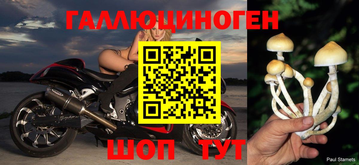 Галлюциногенные грибы Magic Shrooms  Вход с VPN  Галлюциногенные грибы Psilocybe  Лосино-Петровский 